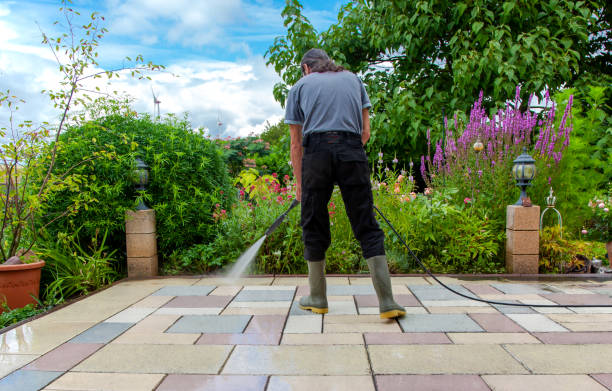 Animal Enclosure Cleaning in South Hill, NY